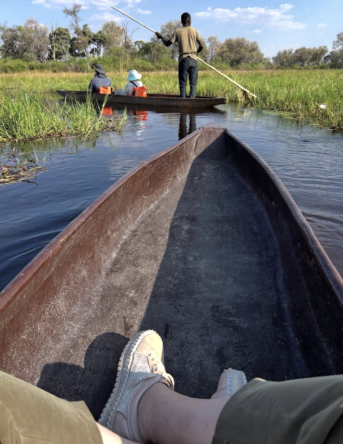 Notfallevakuierungsflugzeug auf einem Bush-Flugplatz in der Nähe eines Okavango Delta Safari-Camps