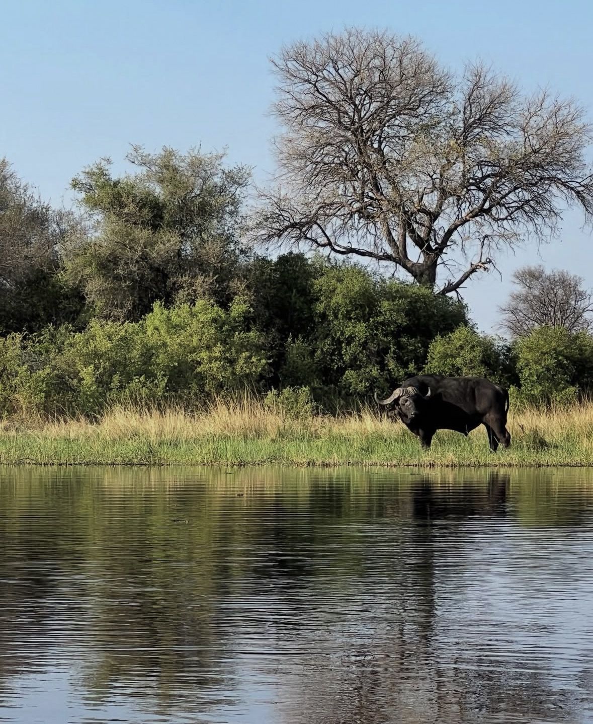 Okavango-Delta Tagesausflug