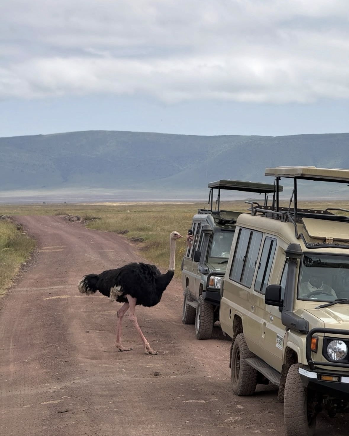 Luxury Okavango Safari - 3 Tage