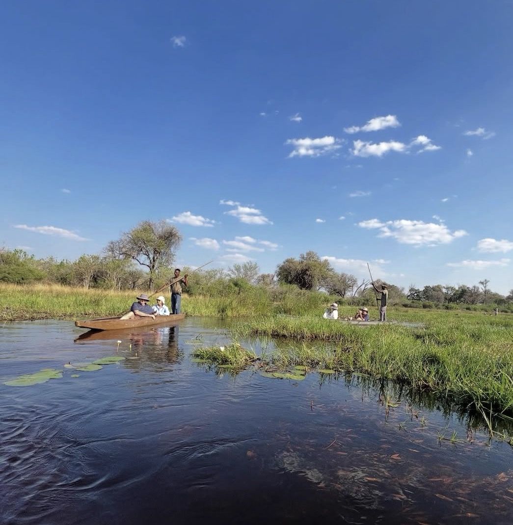 Escursione di 1 giorno nel Delta dell'Okavango in Mokoro/Canoa